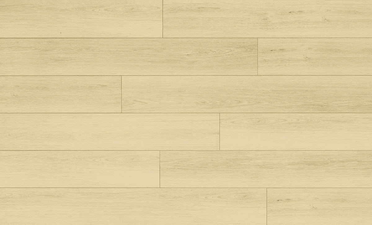 D89801 Hennessy Beige SWISS SOLID