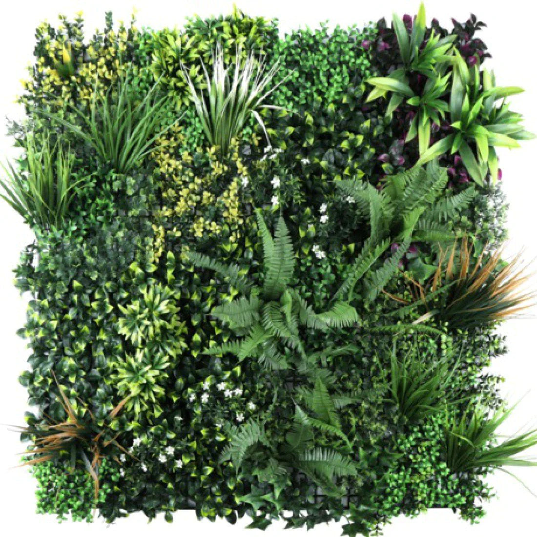 Oppio 100 x100 cm - OPPIO Moss Panel - AMAZON