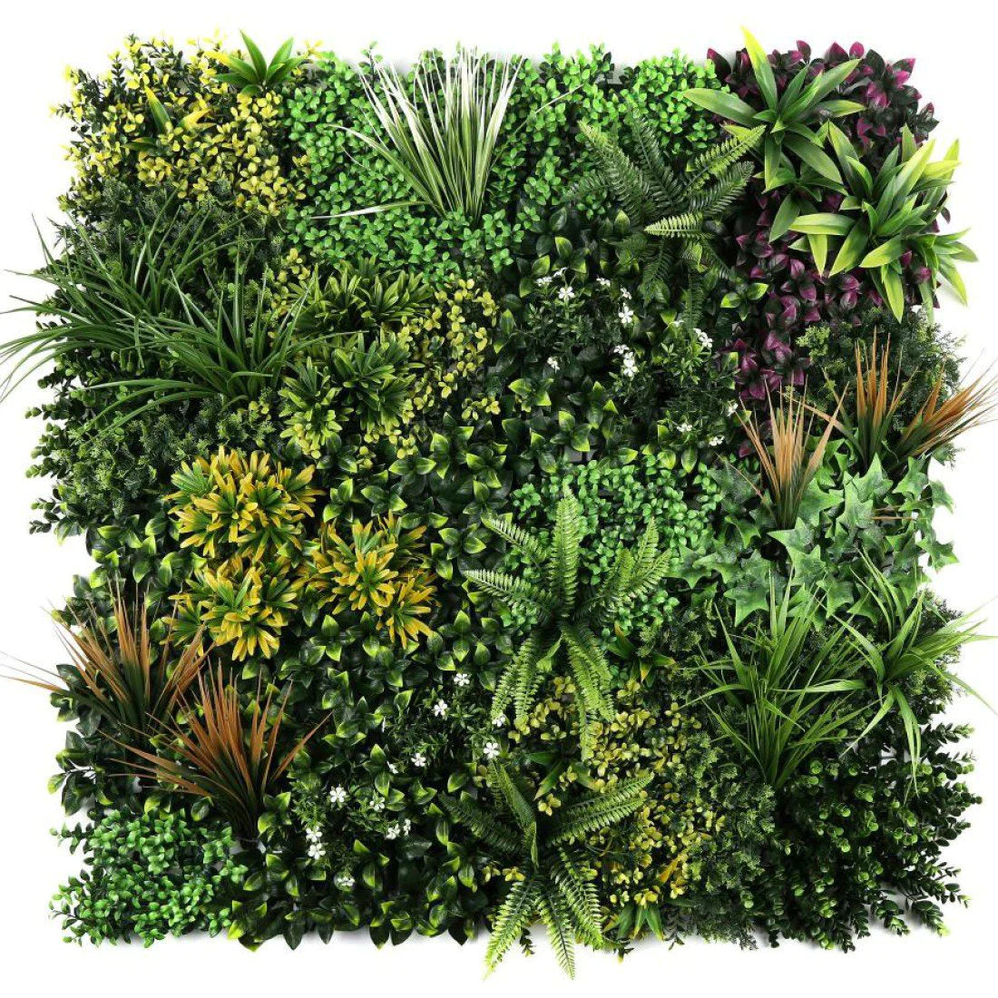 Oppio 100x100 cm - Moss Panel Kunsthaag - ITURI